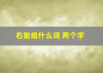 右能组什么词 两个字